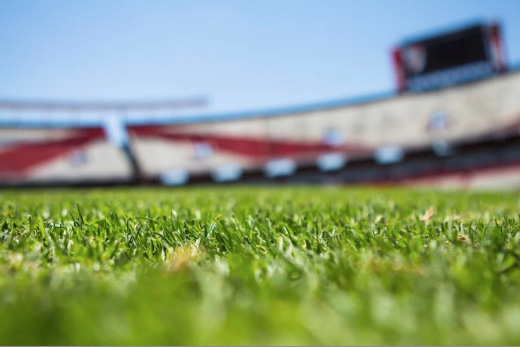 soccer stadium