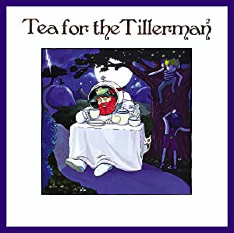 'Tea for the Tillerman 2' - Cat Stevens