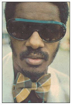 Stevie Wonder